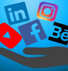 social media roles responsibilities