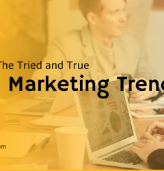 Digital Marketing Trends: The New VS the Tried