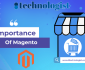 Importance Of Magento Extensions