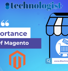importance of magento extension