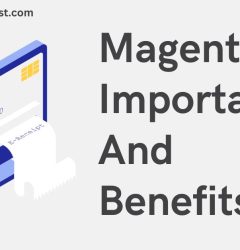 Magento Importance And Benefits